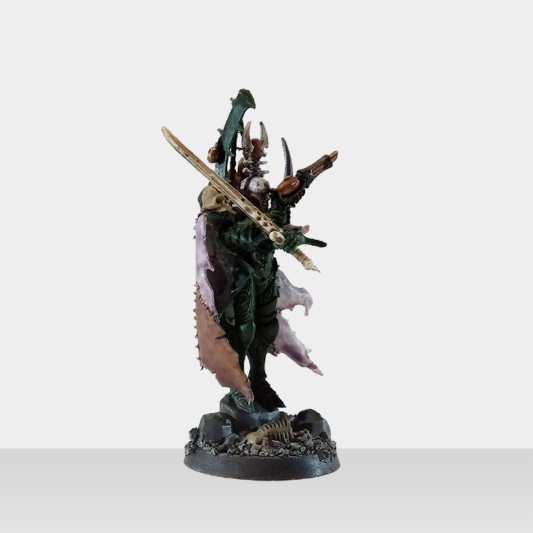 Warhammer 40k Dark Edar Drukhari Archon (Pro-Painted)