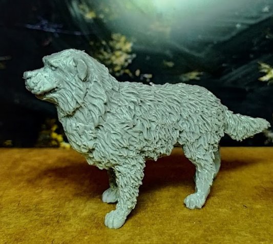 Собака