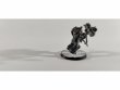 Space Wolves Wolf Guard Terminators x6 (Painted)