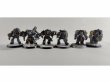 Space Wolves Wolf Guard Terminators x6 (Painted)