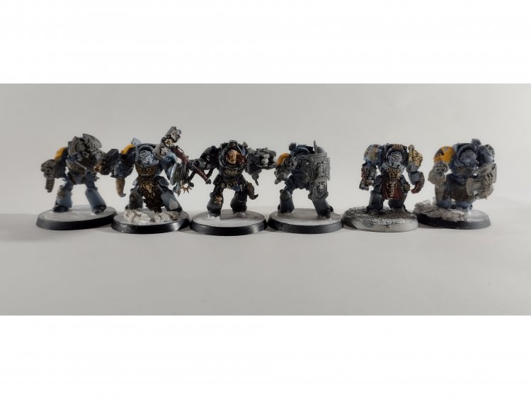 Space Wolves Wolf Guard Terminators x6 (Painted)