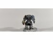 Space Wolves Wolf Guard Terminators x6 (Painted)