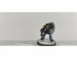 Space Wolves Wolf Guard Terminators x6 (Painted)