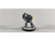 Space Wolves Wolf Guard Terminators x6 (Painted)