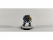 Space Wolves Wolf Guard Terminators x6 (Painted)