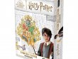 Гарри Поттер: Кубок факультетов