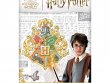 Гарри Поттер: Кубок факультетов