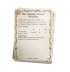 Grand Cathay Reference Cards (предзаказ 2025, GW Direct)