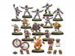 Old World Alliance Blood Bowl Team: The Middenheim Maulers