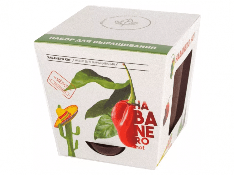 Plant Republic: Перец острый 