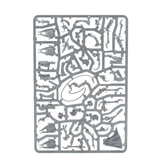 Hedonites of Slaanesh Battleforce - Sybarite Blade-Carnival