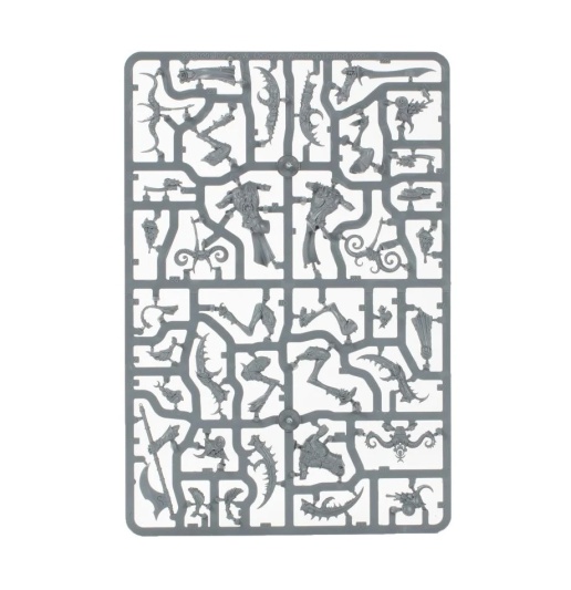 Hedonites of Slaanesh Battleforce - Sybarite Blade-Carnival