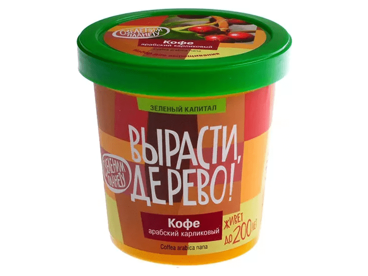 Вырасти дерево: Кофе арабский карликовый