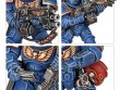 Primaris Intercessors (предзаказ 2025, Space Marines, Warhammer 40k)