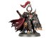 Exalted Hero of Chaos