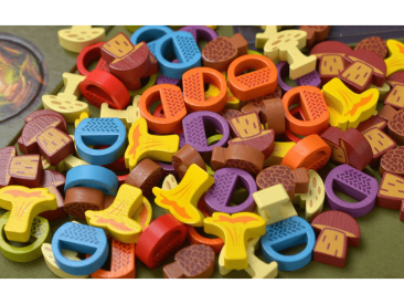 Грибные места