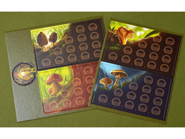 Грибные места