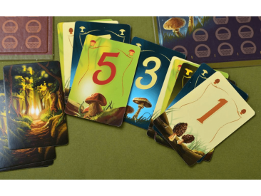 Грибные места