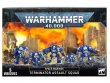 Terminator Assault Squad (Space Marines, Warhammer 40k)