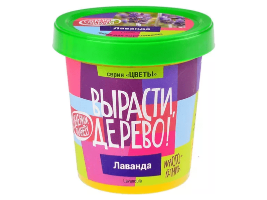 Вырасти дерево: Лаванда
