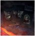 Datacards: Salamanders
