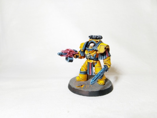 Warhammer 30k/40k Space Marines Cataphractii Terminators x5 (Pro-Painted)