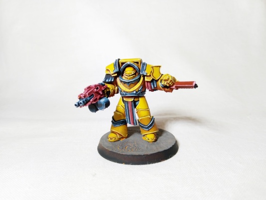 Warhammer 30k/40k Space Marines Cataphractii Terminators x5 (Pro-Painted)