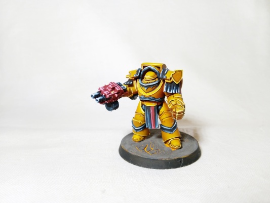 Warhammer 30k/40k Space Marines Cataphractii Terminators x5 (Pro-Painted)