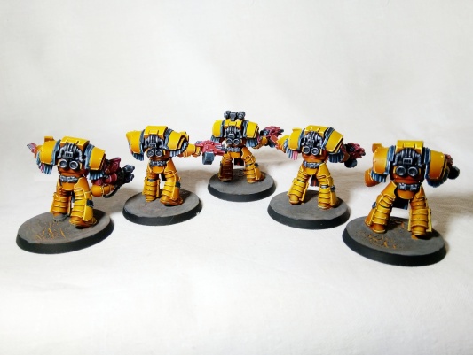 Warhammer 30k/40k Space Marines Cataphractii Terminators x5 (Pro-Painted)