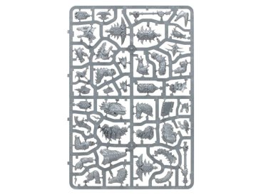 Spearhead: Seraphon (предзаказ 2025, Age of Sigmar)