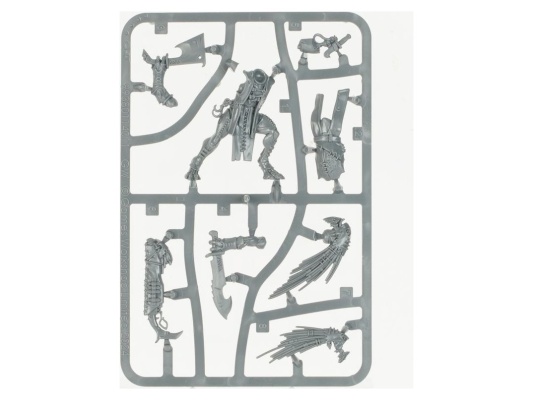 Kroot Hunting Pack (Warhammer 40k, Tau Empire Army Set)