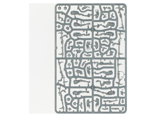 Kroot Hunting Pack (Warhammer 40k, Tau Empire Army Set)