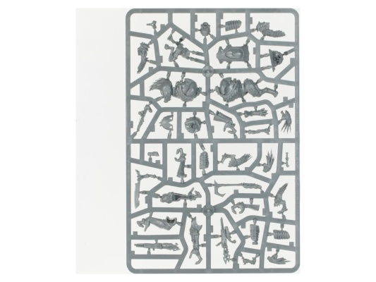 Kroot Hunting Pack (Warhammer 40k, Tau Empire Army Set)