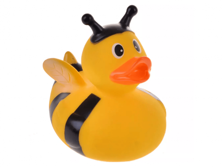 Funny Ducks 