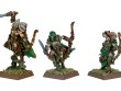 99060204060_WoodElfWaywatchers.jpg
