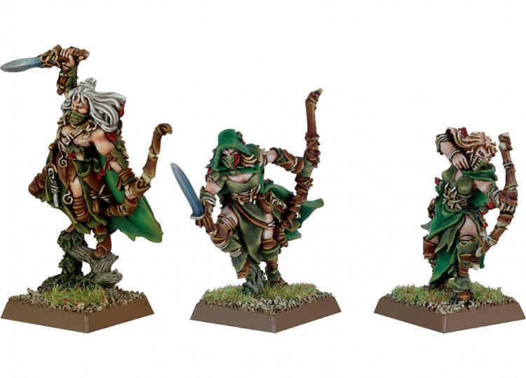 Wood Elf Waywatchers