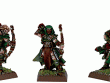 Wood Elf Waywatchers.gif
