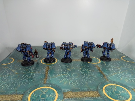Warhammer 40k Space Wolves Skyclaws x5 (Painted)