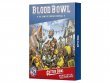 Gutter Bowl: The Game of Street-Level Fantasy Football Mayhem (предзаказ 2023, Blood Bowl)