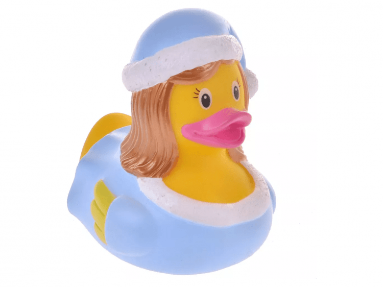 Funny Ducks 