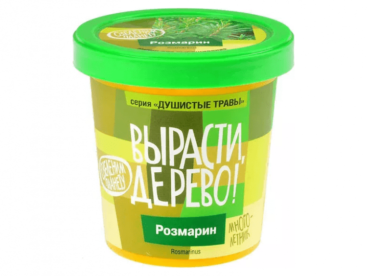 Вырасти дерево: Розмарин