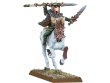 99060204067_WoodElfWildRider.jpg