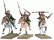 Wood Elf Wild Rider (1 Figure blister).gif