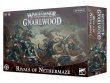 Rivals of Nethermaze