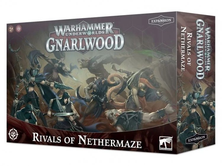Rivals of Nethermaze