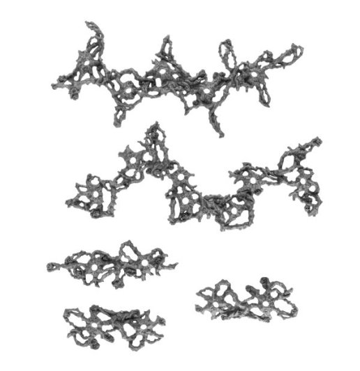 Shardwrack Spines