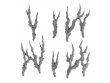 99129999008_ShardwrackSpines06.jpg