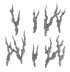 Shardwrack Spines