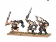 Chaos Ogres (предзаказ 2024, GW Direct)