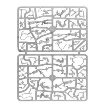 Daughters of Khaine Devoted of Morathi